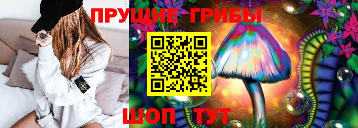 Псилоцибиновые грибы GOLDEN TEACHER  Вход с VPN  Иркутск 